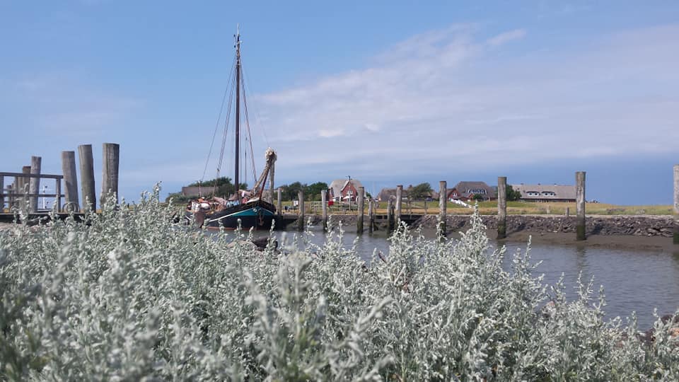 oostzee-zomer-zeiltocht-week oostzee-zomer-zeiltocht-week