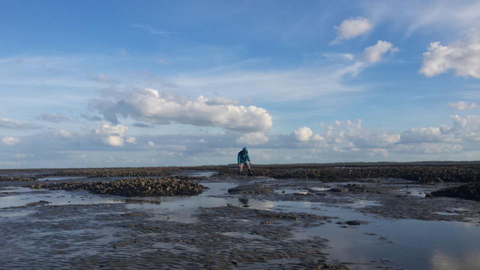 oesters-waddenzee-zeilen-dagexcursie