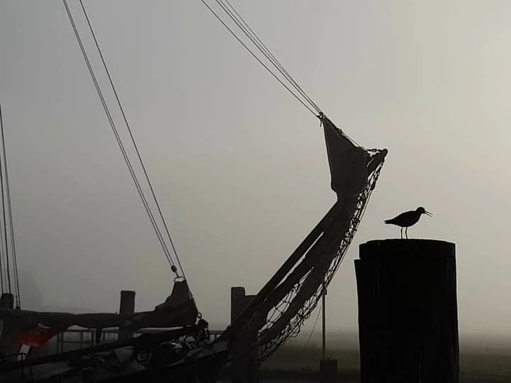 familie-segel-wandertorn