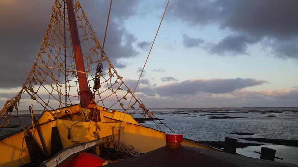 winter-zeilen-lauwersmeer